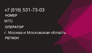 9165317303